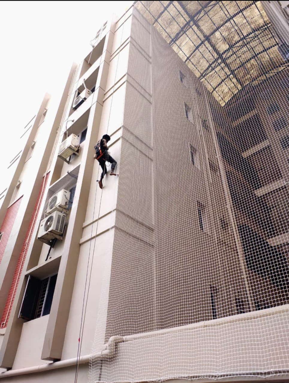 Pigeon Nets by Sai Durga Invisible Grills — installation photo 1