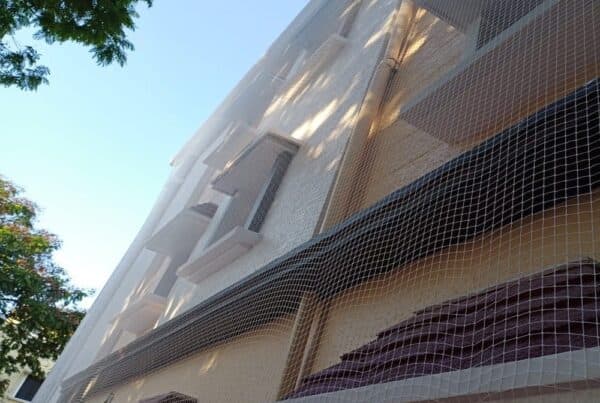 Pigeon Nets by Sai Durga Invisible Grills — installation photo 3