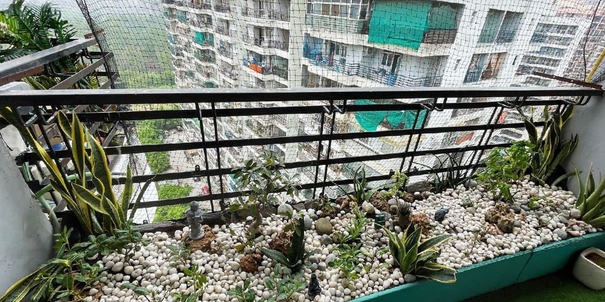 Pigeon net project for a Rajahmundry balcony