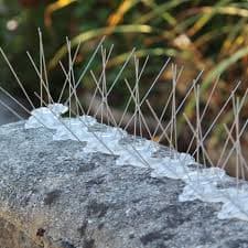 Anti Bird Spikes by Sai Durga Invisible Grills — installation photo 2